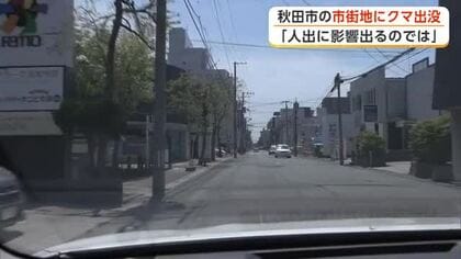 相次ぐクマの出没、官房長官「ギア上げて対策を」　秋田市中心市街地や横手市の散歩コースでも目撃