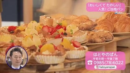 大人気！ご当地パン　はとやのパン【トレリン】