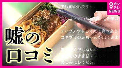 「弁当からゴキブリの赤ちゃん出てきた」　ウソの口コミ投稿で臨時休業　病院の口コミ巡って集団訴訟も