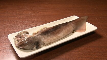 スルメイカの来遊量　歴史的低水準続く