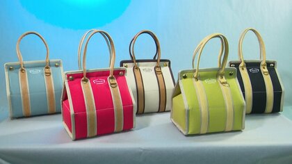 主婦目線から開発したら売り切れ続出…デザイン性と機能性兼ね備えた保冷バッグ 製造追い付かず「困った」