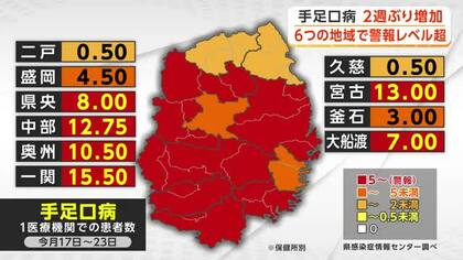「手足口病」2週ぶり増加　6つの地域で警報レベル超　岩手県