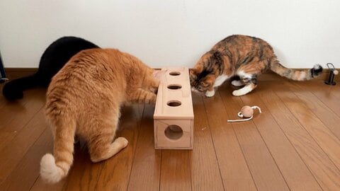 「被災木」活用で広がる復興支援　“国内最大”岩手・大船渡市の山林火災からまもなく1年