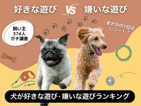 【飼い主374人に調査】犬が好きな遊び・嫌いな遊びTOP10!1位が被る、まさかの事態…!理由を徹底分析。