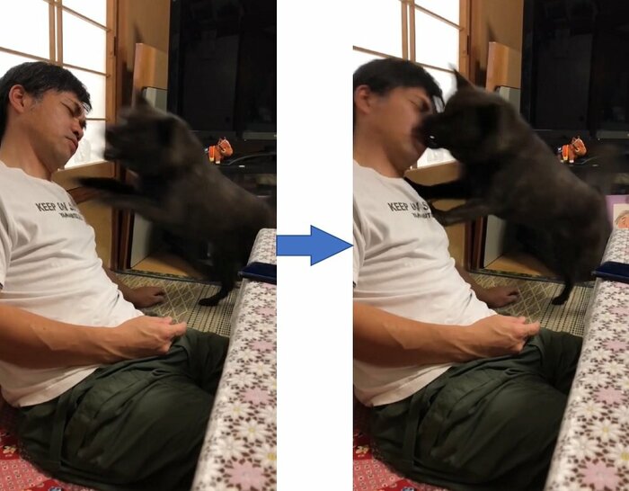 いきおいよく突撃!