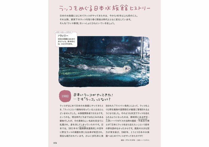 『おいでよ!ラッコ沼への招待状』(世界文化社)より