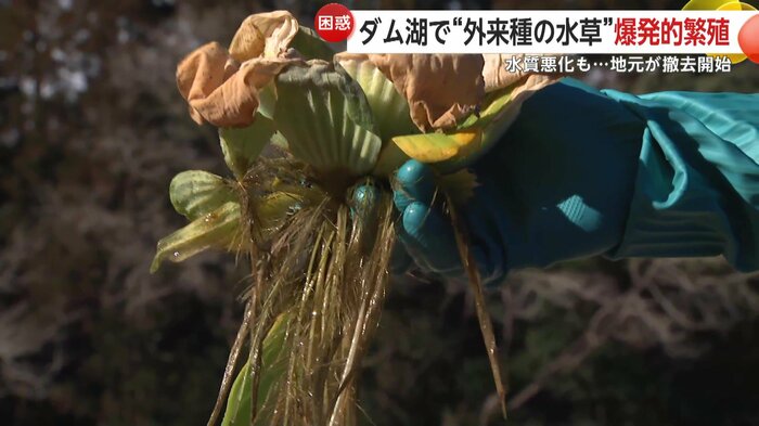 春になると繁殖を再開するという
