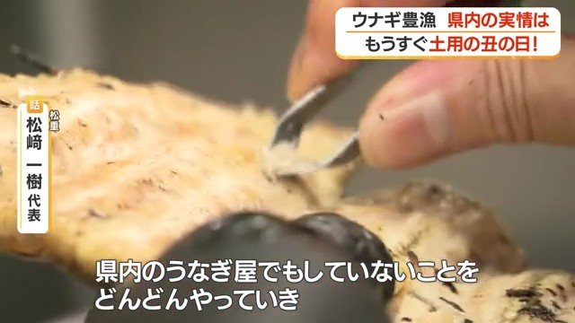 ウナギの骨を抜く様子