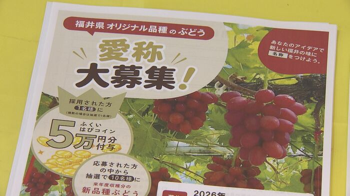 愛称を募集している