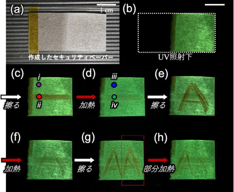 分子間の「結びつきの序列」が固体の機能と変化を決める