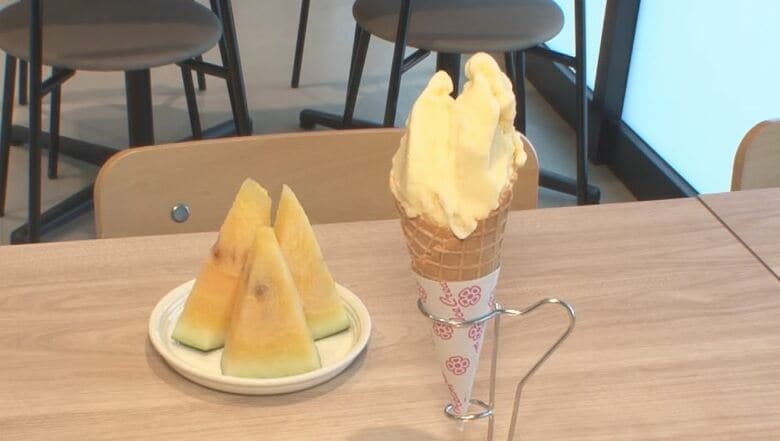 鮮やかな黄色のソルベ　黄色い果肉のスイカ「金色羅皇」を使用　長野県塩尻市のジェラート店「糖度が高く生産者の少ない貴重な品種」　珍しさもあり人気　｜FNNプライムオンライン