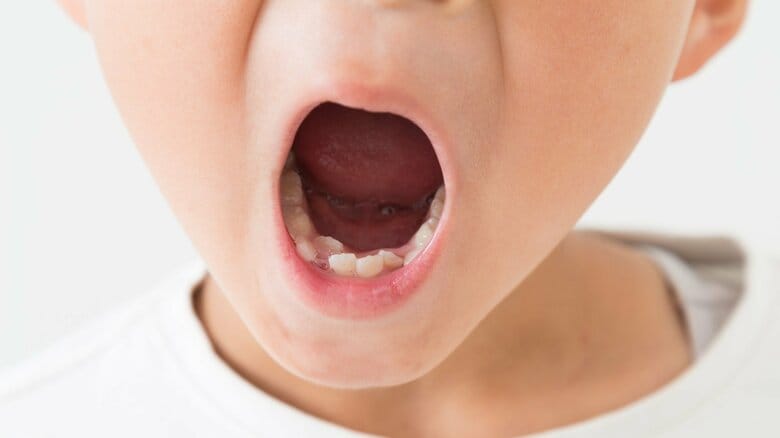 「歯科医としての夢」欠如歯が再生する“歯生え薬”の治験を9月に開始…虫歯で失った歯にも応用できるか聞いた｜FNNプライムオンライン