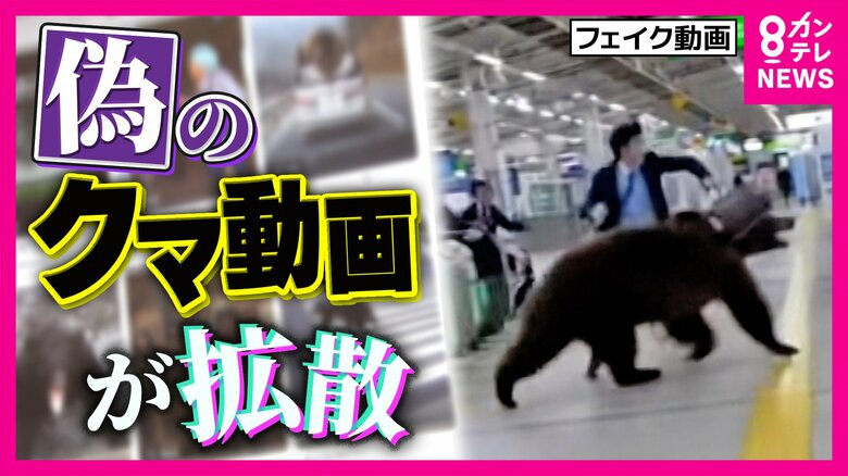 フェイク動画投稿・拡散で「罪に問われる可能性も」元検事が指摘 『子グマを抱っこ』『クマにエサ』生成AI作成の“クマ動画”がSNSで拡散|FNNプライムオンライン