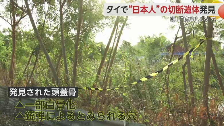 頭蓋骨が発見された草むら