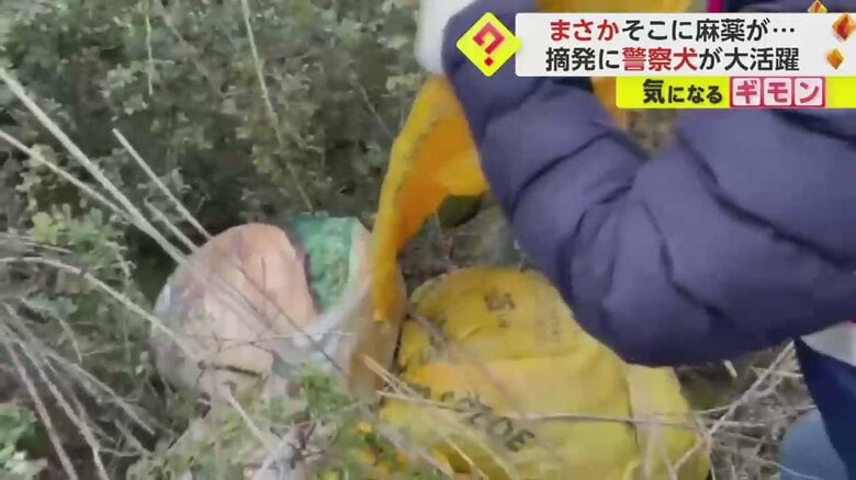 人の目では気づかない場所もなんのその（画像：IHA）