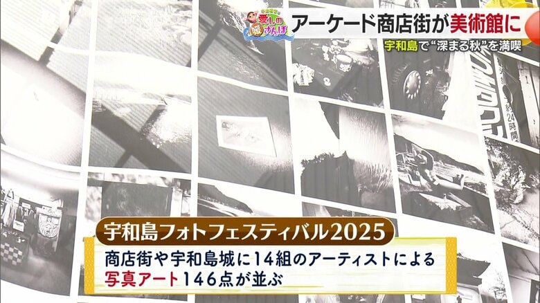 宇和島フォトフェスティバル（UWAJIMASIGHTS）が開催中