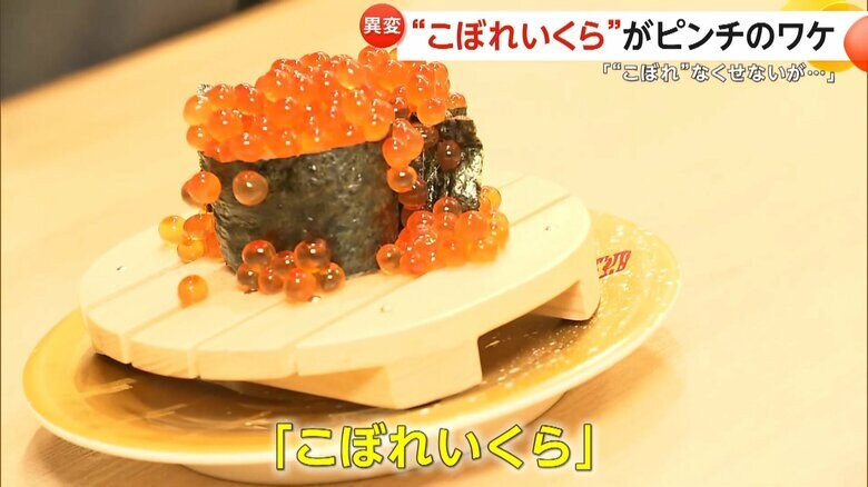 通常の3倍のいくらがのった、一番人気のネタ「こぼれいくら」