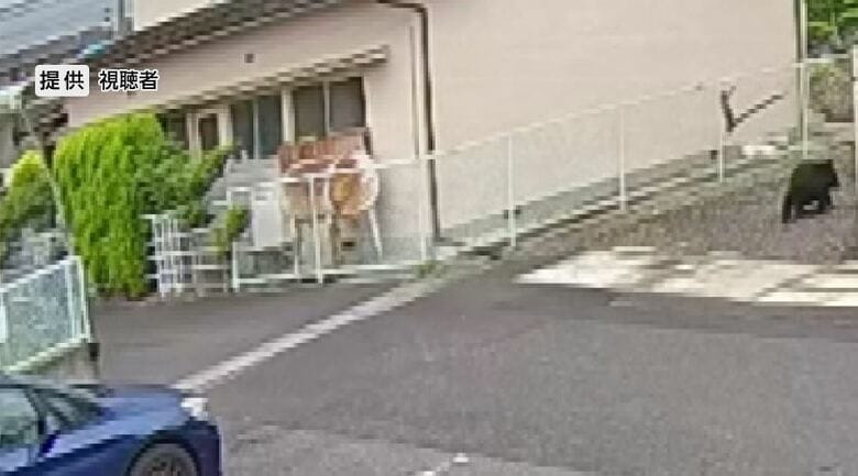 提供：視聴者