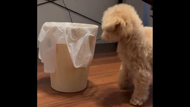 一旦は落ち着くも…