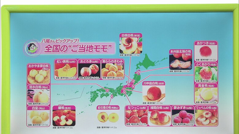 全国の“ご当地モモ”
