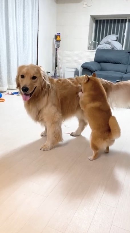 提供：うにandおからさん