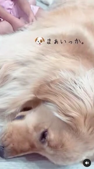 提供：西村 まひろさん