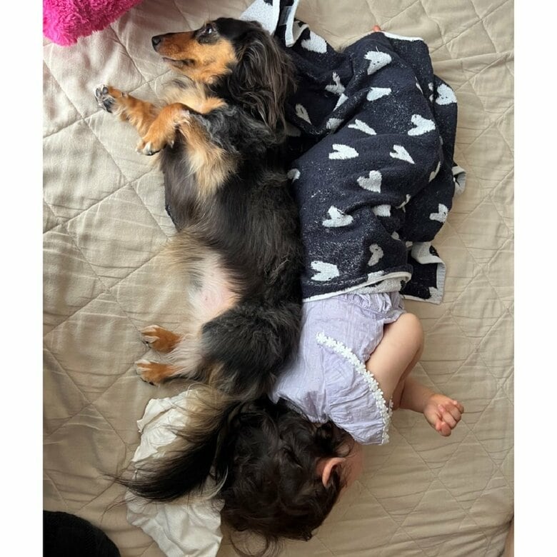 こうちゃんは、どこからともなくやってくる