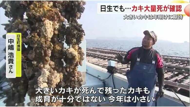 日生町漁協　中嶋浩貴さん