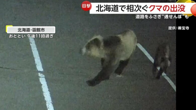 子どもを連れて駐車場をうろつくクマ