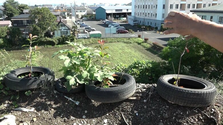 見晴らしの良い場所から、“アート作品”を撮影したりしている