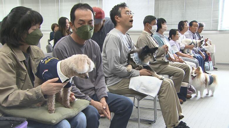 高齢犬表彰式