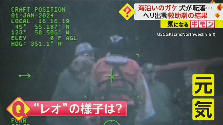 飼い主に抱きかかえられる犬