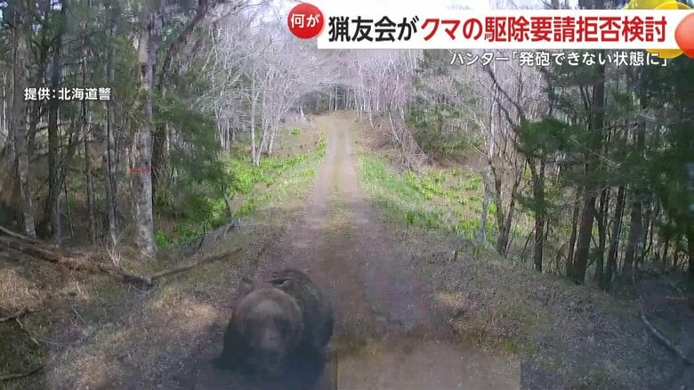 ヒグマが車に突進してフロントガラスとワイパーを破壊する様子