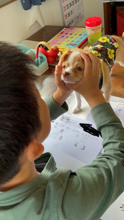 提供：ふくのすけさん