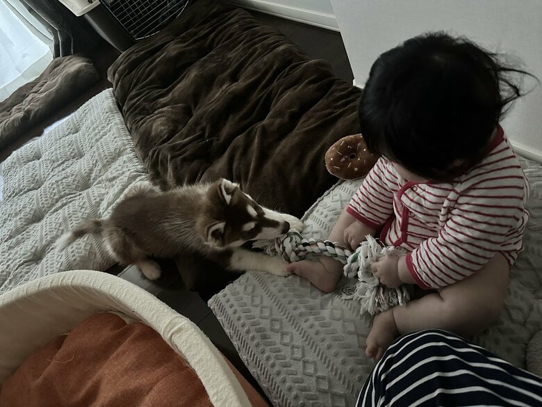 赤ちゃんとマリアンちゃん