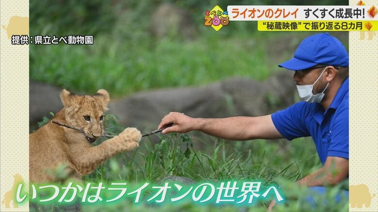 提供：県立とべ動物園