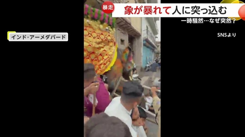 人をなぎ倒しバリケードを破壊して進む象