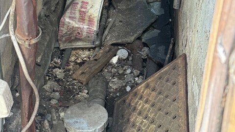 ねずみの生息場所の例　千代田区提供