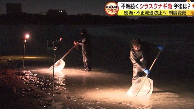 天竜川河口での漁