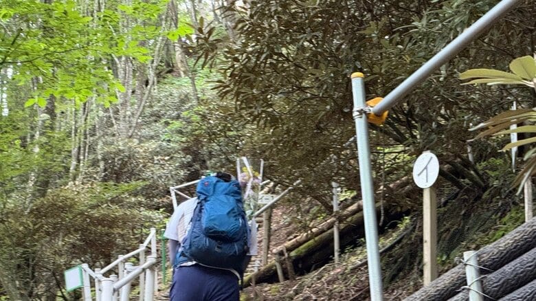 花束を背負った登山者