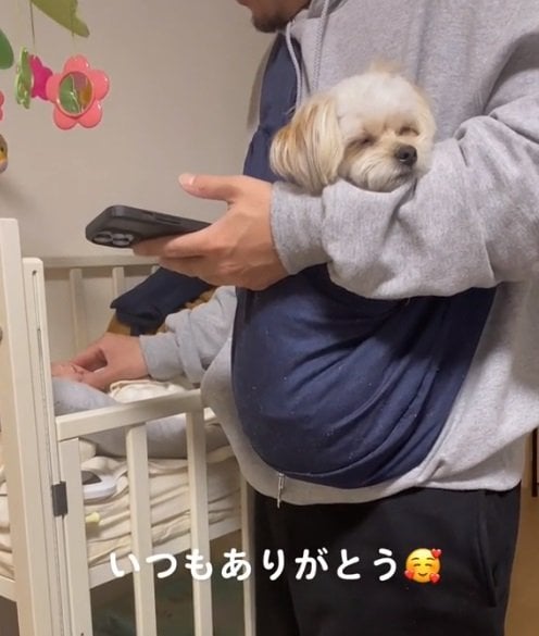 お父さんに抱っこされるきなこくん