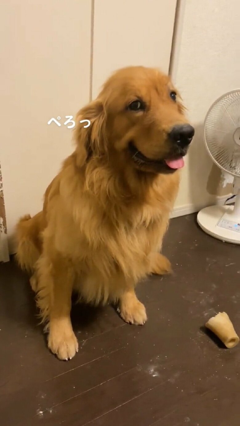 最後は舌をぺろっと出して…