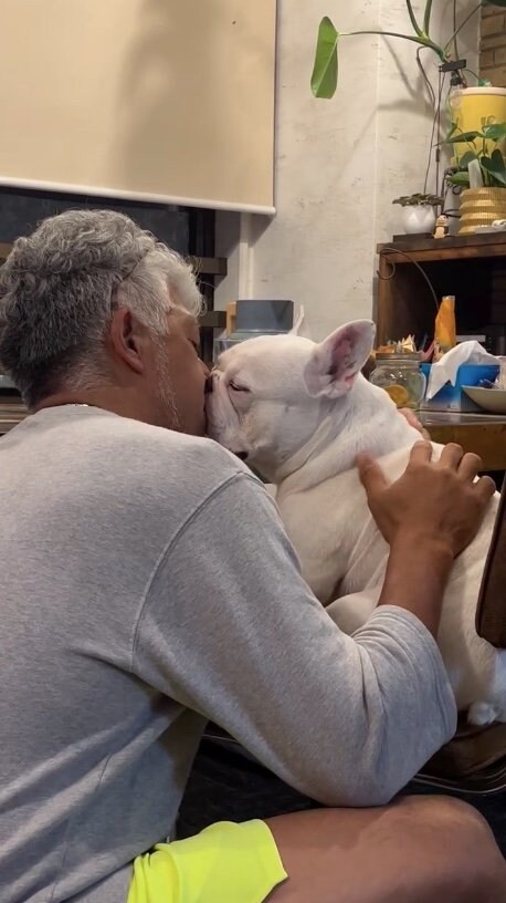 提供：こぶしさん