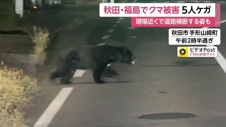 深夜の道路を住宅街に向かって横断するクマ③