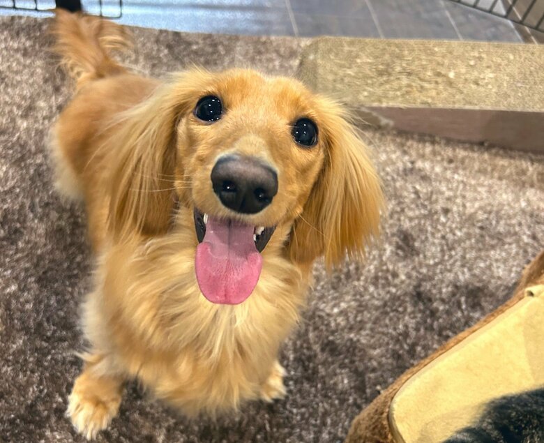 笑顔のボンくん