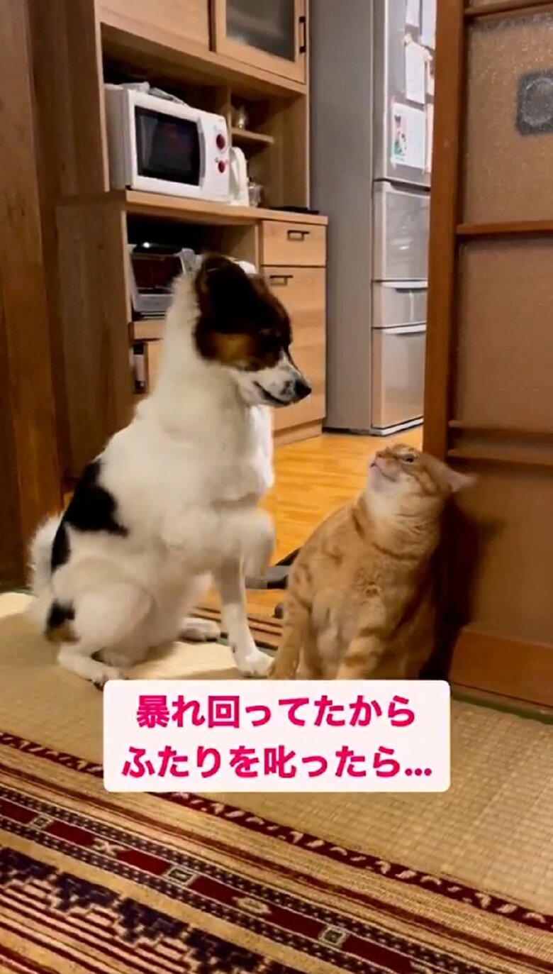 お互い向かい合ってもめ始めたという