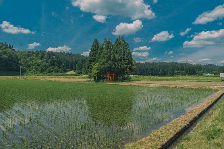 秋田県・羽後船岡付近の神社（2024年6月撮影）