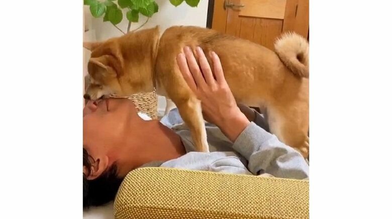 パパさん大好き　顔をペロペロ