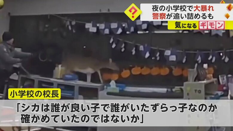 壁の掲示物や本棚に置いてある物を蹴散らしながら逃げて行くシカ