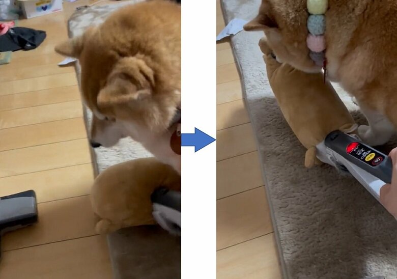 ぬいぐるみを吸うと、ぬいぐるみを引き離す！